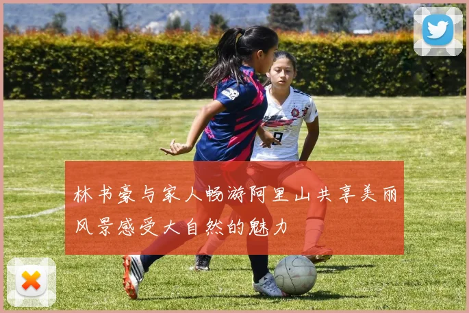 林书豪与家人畅游阿里山共享美丽风景感受大自然的魅力